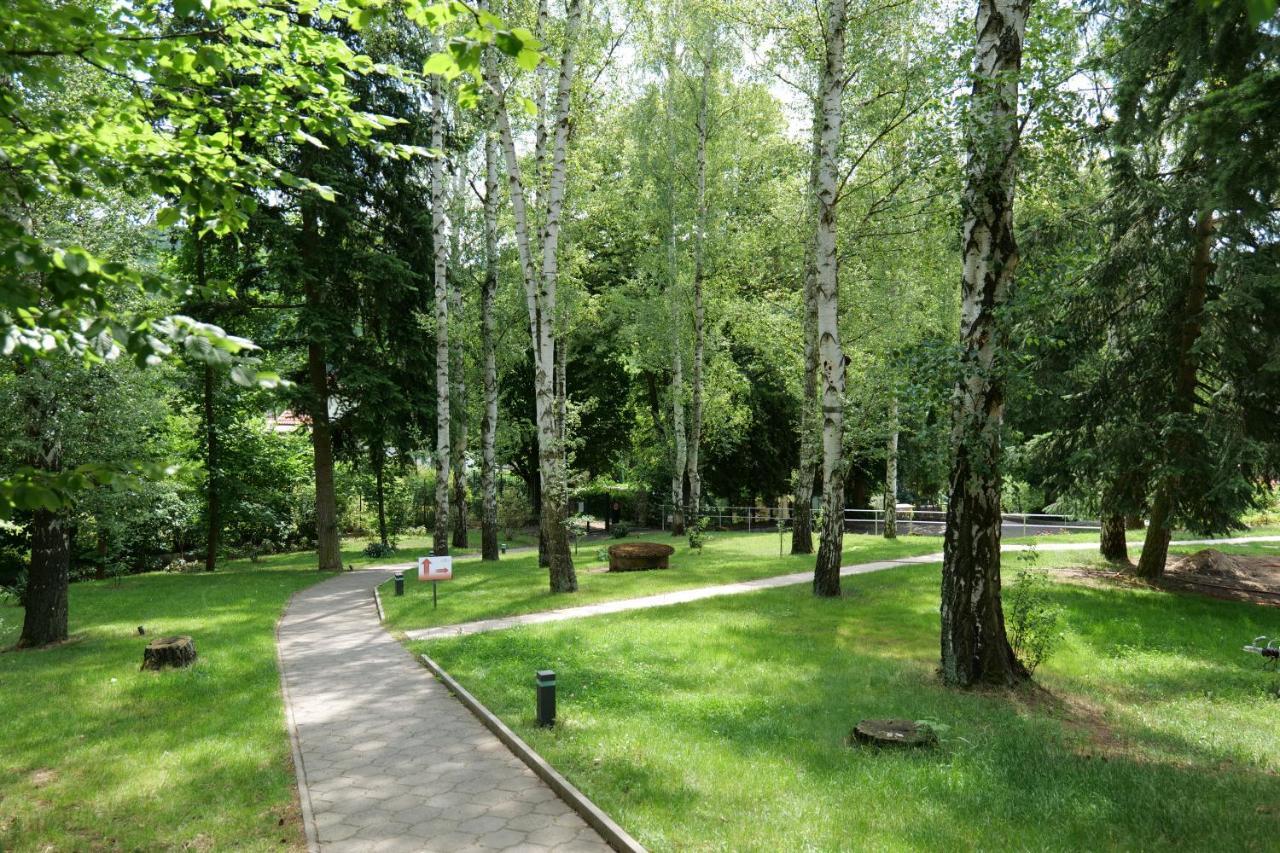 Penzion Harmony Javornik Ctyrkoly Εξωτερικό φωτογραφία